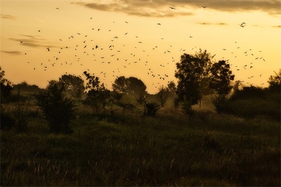 正能量句子励志句子 正能量励志文字