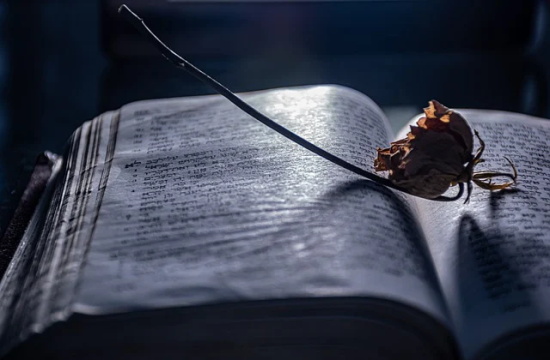 形容春天的气息的优美句子