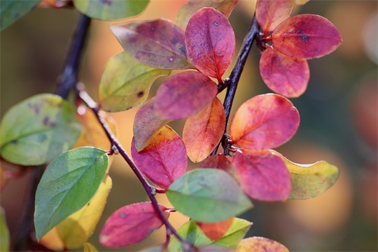 没有理由不努力的句子 努力上进的句子