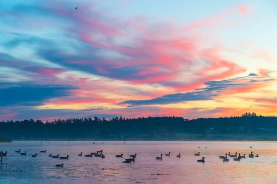 关于形容小孩可爱的句子