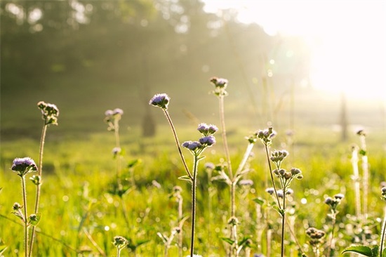 努力向上的优美句子(关于蓝色的,励志向上的优美句子)