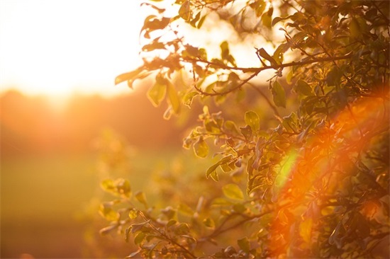 表达思念情人的句子