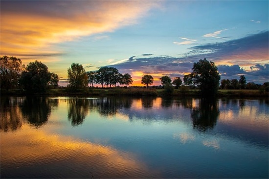 动物的qq网名三个
