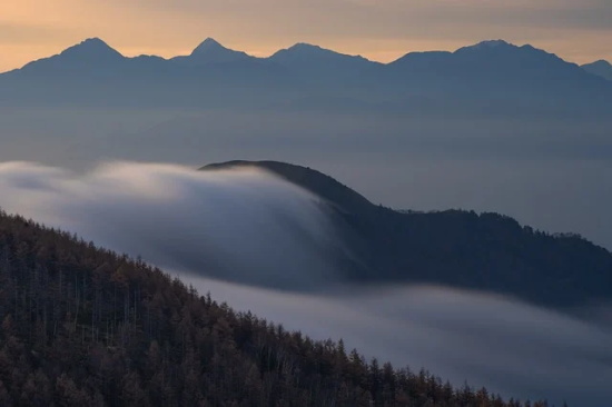 带鑫字的网名女生
