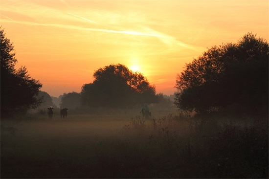 高级有质感的寻找爱情句子 打动人心的爱情句子文案