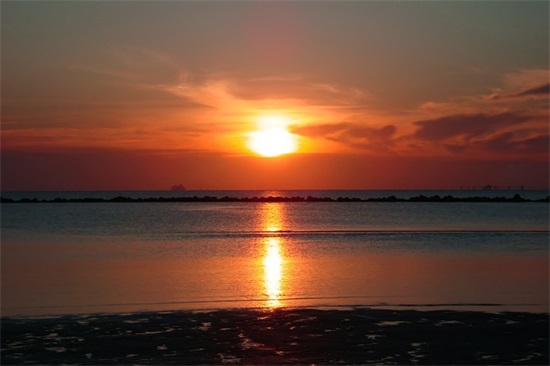 表达战友情谊的句子 2025年形容战友之情的短句