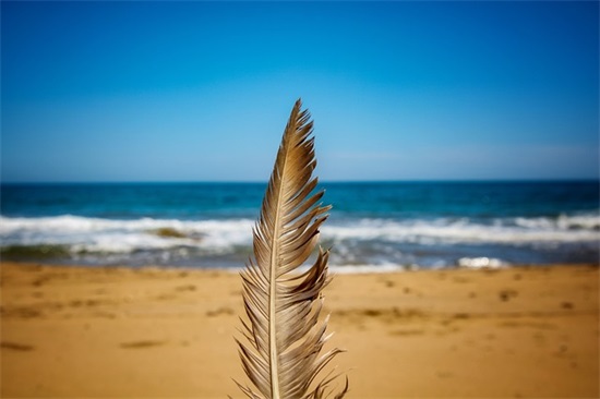 想念亲人的句子大全