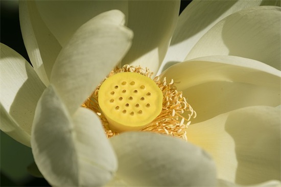 工作分享正能量的句子 每日工作分享正能量的句子