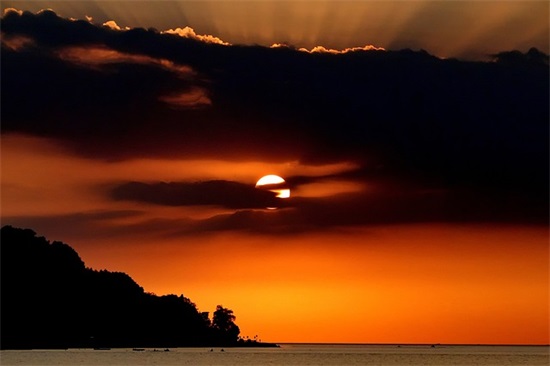 表达自己对爱的感悟句子