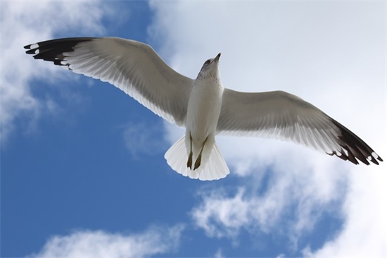 我们必须要坚持的句子 生活很累生活很苦