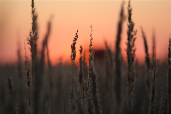 描写哭得伤心的句子57句 描写哭得伤心的句子57句