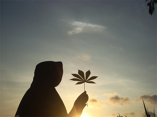 简短励志句子大全