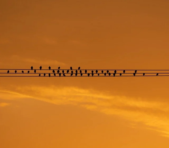 愚人节表达爱意的句子