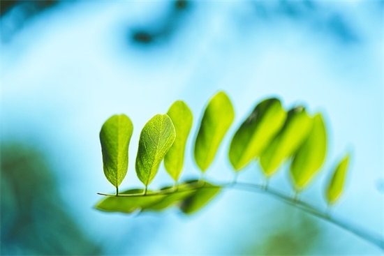 广播电视编导阐述