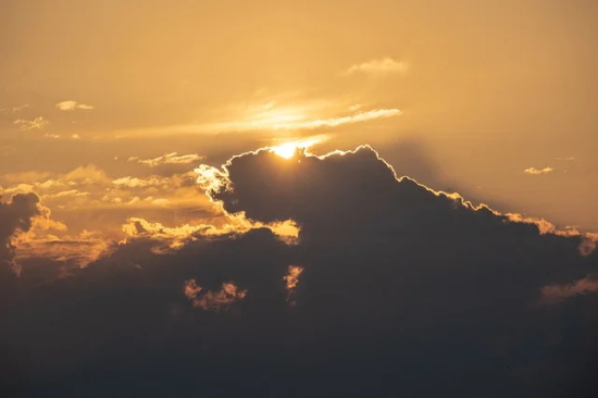 养成教育工作总结