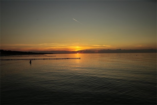 双排脚手架施工方案