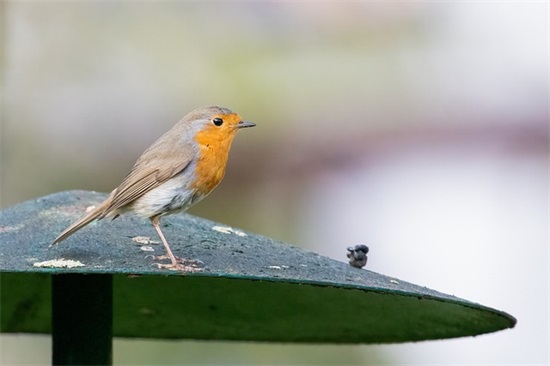 土建工程概论论文