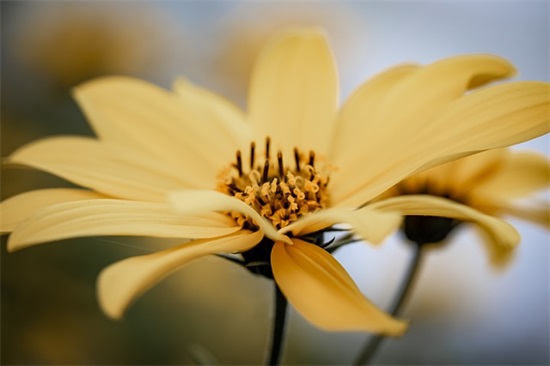 开学典礼讲话稿(精选15篇)