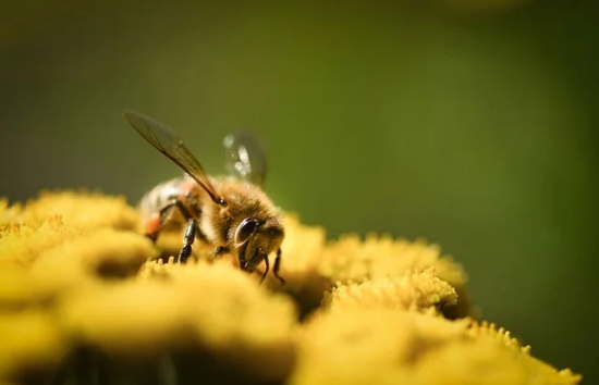 又污又有内涵的网名，好听且污的网名大全