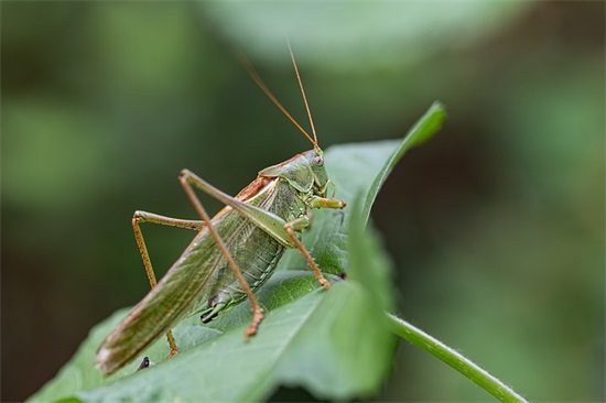 个性战队名字400个 个性战队名字400个