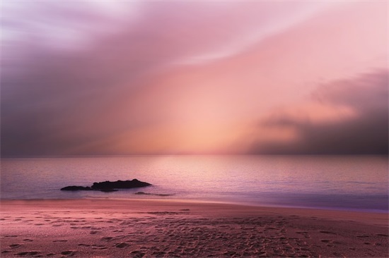 小猫起名字大全 小猫起名字大全