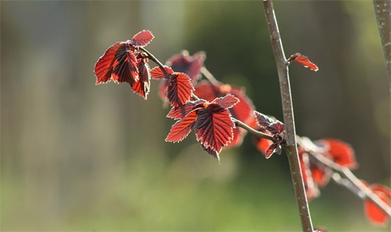 关于爱情最伤感的文艺句子