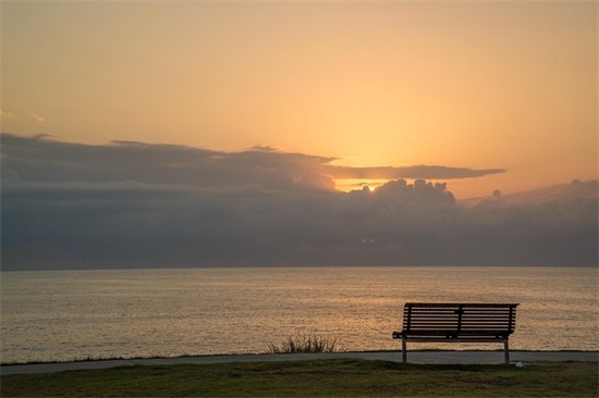 暖人心扉的句子