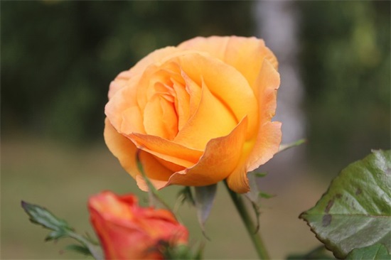 疫情防控正能量 香港疫情的短句子