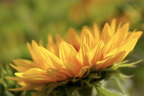 彻底死心了放弃的句子 感情上最心痛的话 彻底死心了放弃的句子 感情上最心痛的话