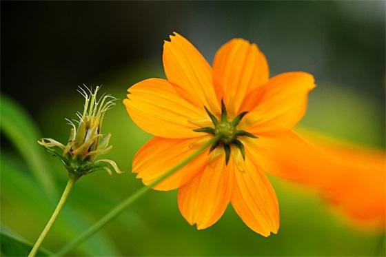 关于错过遗憾的精美简短句子 关于错过遗憾的精美简短句子