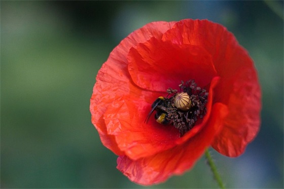 化学工程与工艺简历