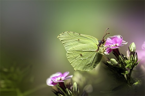 关于数学手抄报内容精选