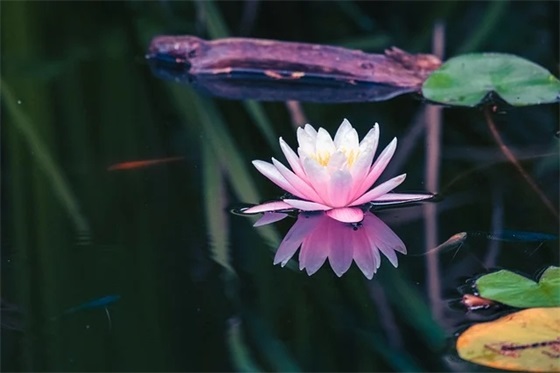 小学美术教师论文范文