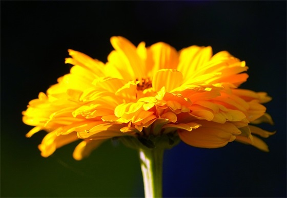 情感说说日志大全