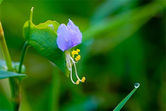 小学语文教师年度考核个人总结