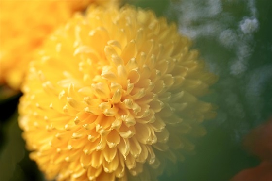 带表标的网名昵称 带表标的网名昵称