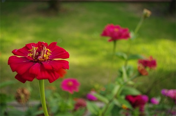 带酒字的网名昵称 带酒字的网名昵称