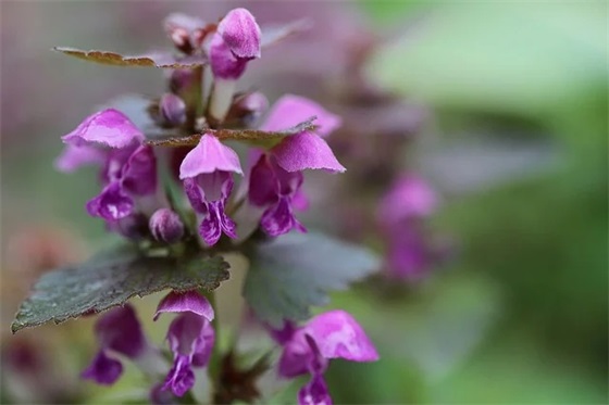 带马字励志的网名男 带马字励志的网名男