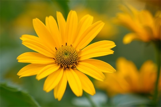 带真三字的网名 带真三字的网名