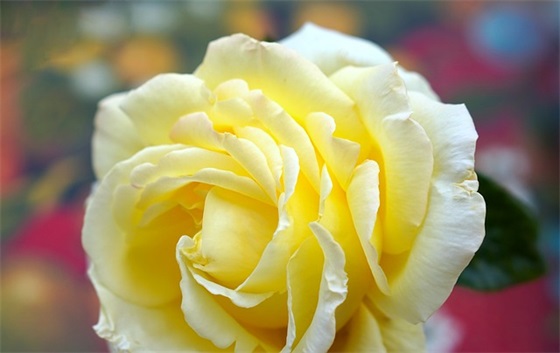 阳光灿烂的句子 阳光灿烂的句子