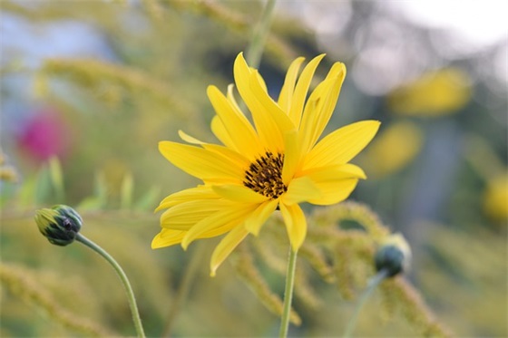 助人为乐的句子198句 助人为乐的句子198句