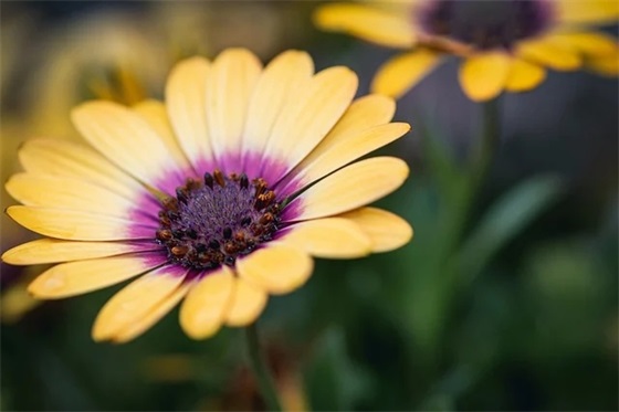 霸气十足社会女句子短句大全 霸气十足社会女句子短句大全