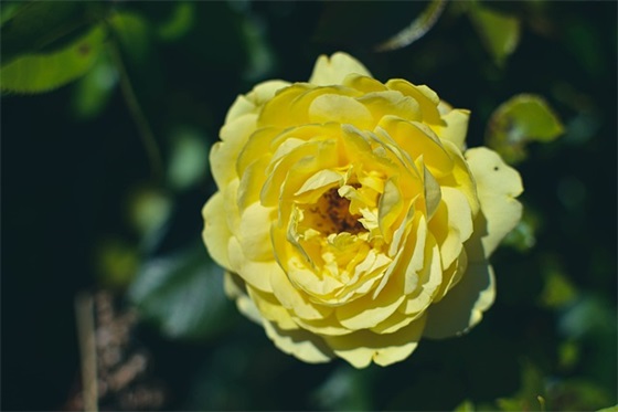 闺蜜霸气十足句子短句大全 闺蜜霸气十足句子短句大全