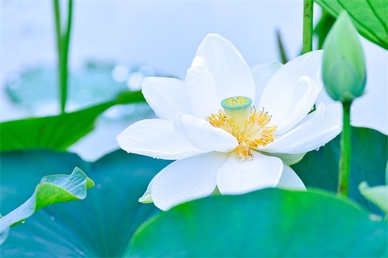 一句话搞笑婚礼祝福语34句