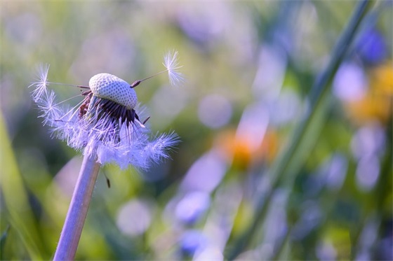 夸赞女人最经典句子 女人优雅有韵味的句子