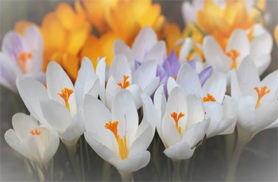 给客户发早安简短的句子(精选54句)