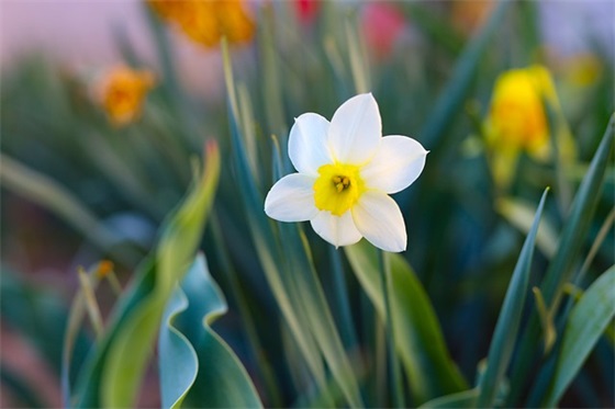 写给医生的暖心句子 医师节写给医生的暖心句子