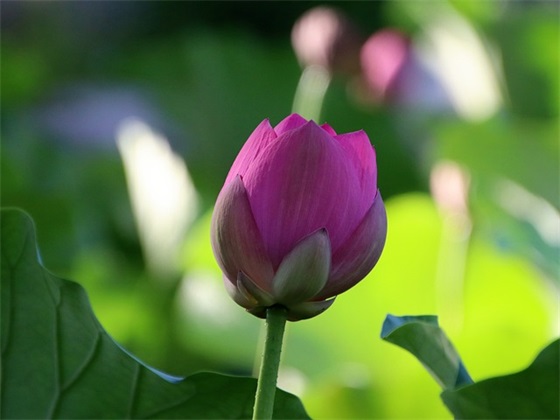 祝自己生日快乐的句子发朋友圈 又老了一岁2025