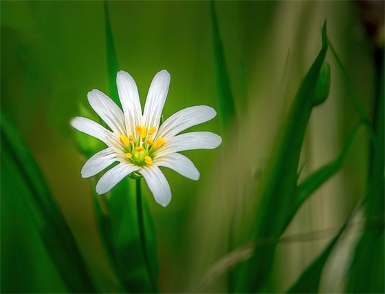感叹人生无奈心酸的句子简短(精选56句) 感叹人生无奈心酸的句子简短(精选56句)