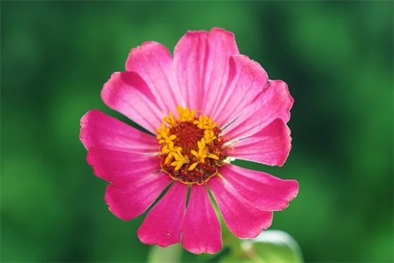 描写时间飞逝的诗句 描写时间飞逝的句子诗句 描写时间飞逝的诗句 描写时间飞逝的句子诗句